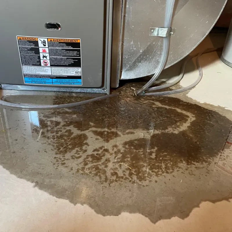 Appliance Leak Cleanup in Saint John, IN